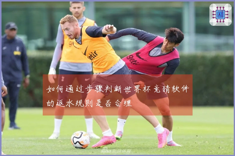 如何通过步骤判断世界杯竞猜软件的返水规则是否合理