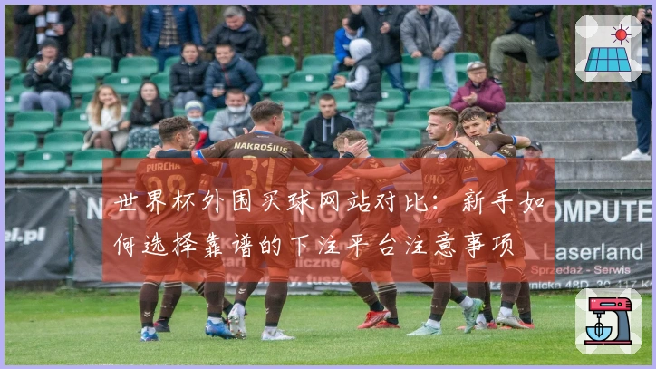 世界杯外围买球网站对比：新手如何选择靠谱的下注平台注意事项